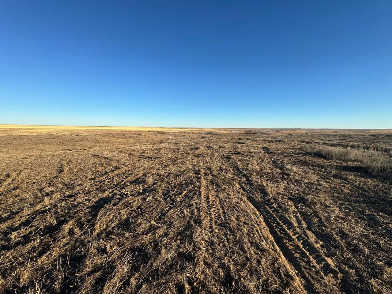 Cleared and graded land with visible excavation furrows stretching across open field