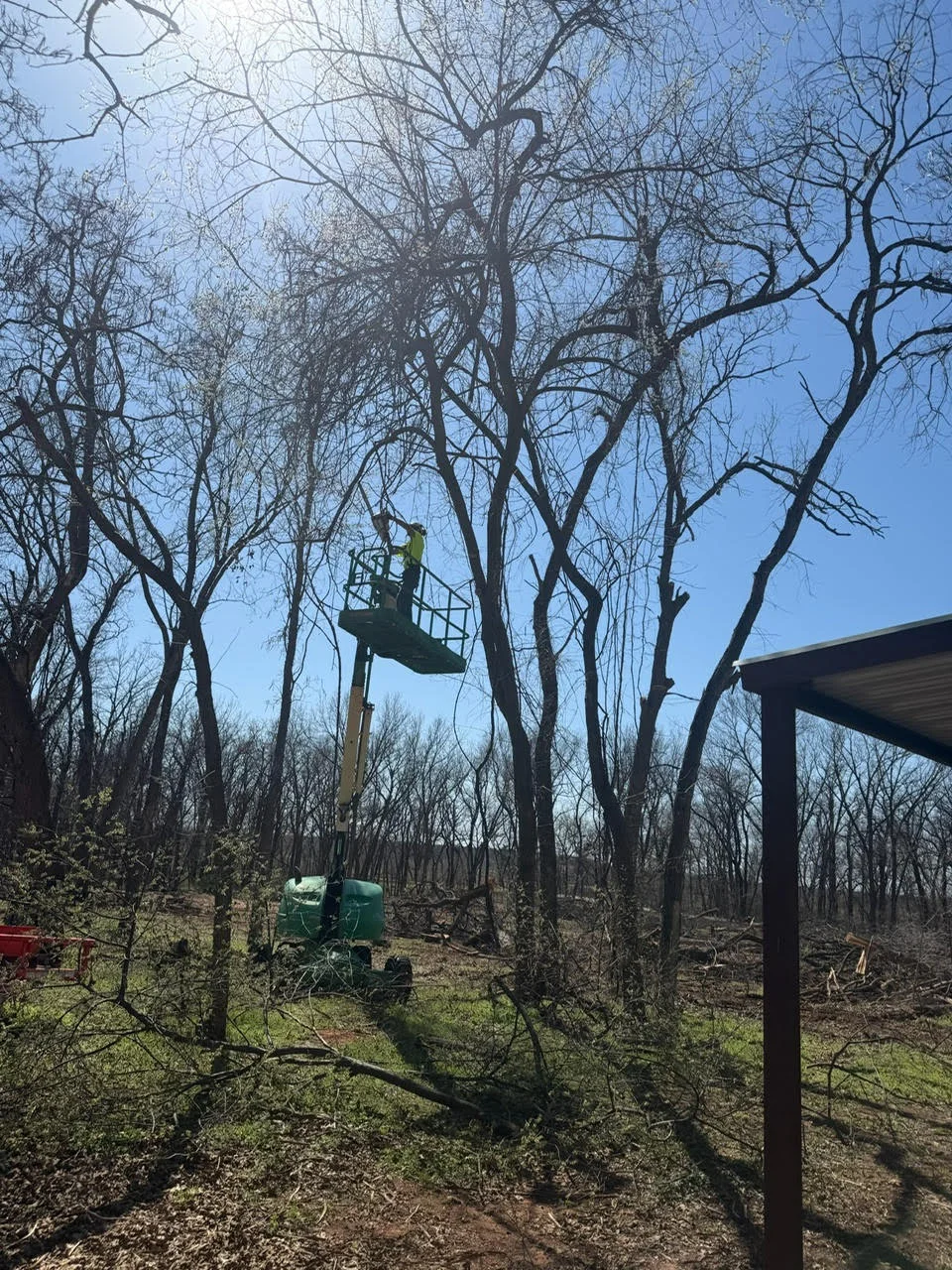 Aerial lift truck removing trees from wooded property with bare branches overhead