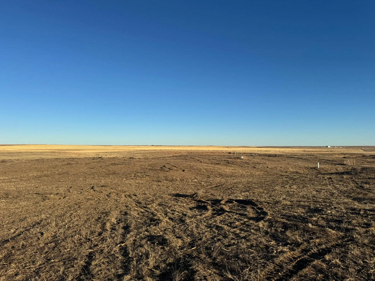 Cleared and graded excavation site with brown soil and removed vegetation across flat terrain