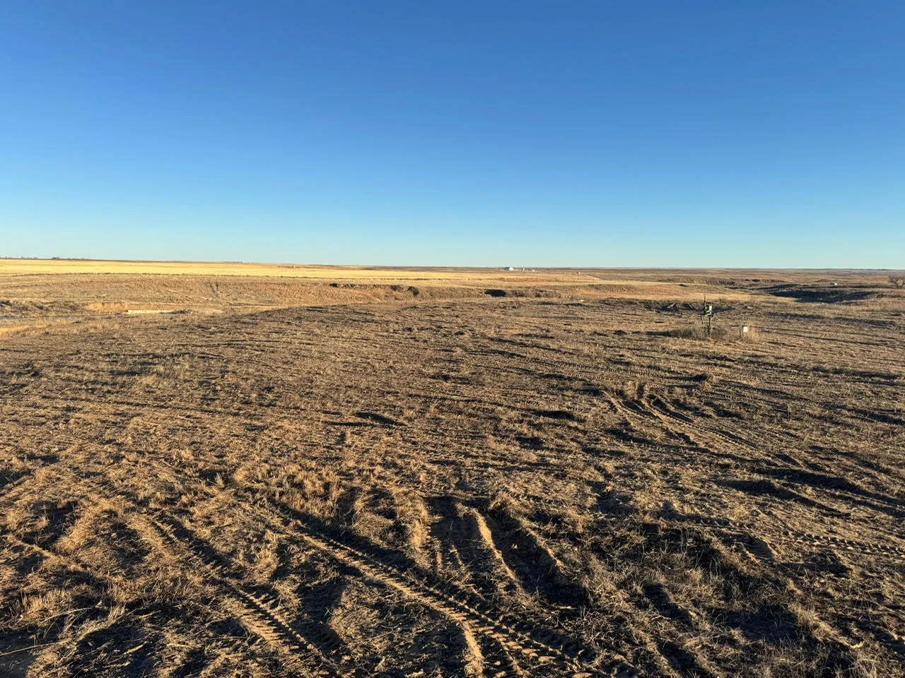 Cleared and graded land with excavation marks and prepared soil ready for development