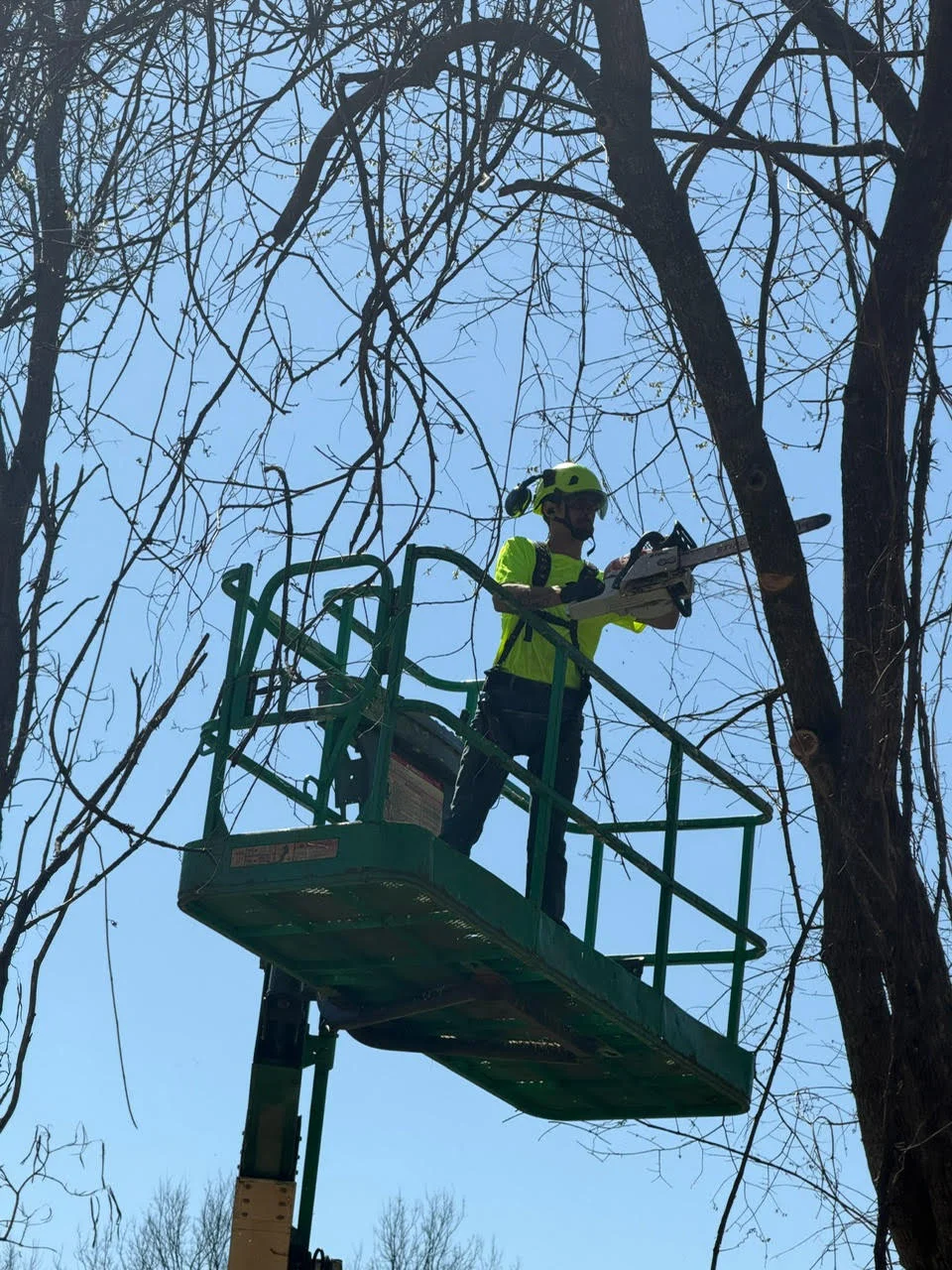 Worker in yellow safety vest operating cherry picker lift to trim dead tree branches