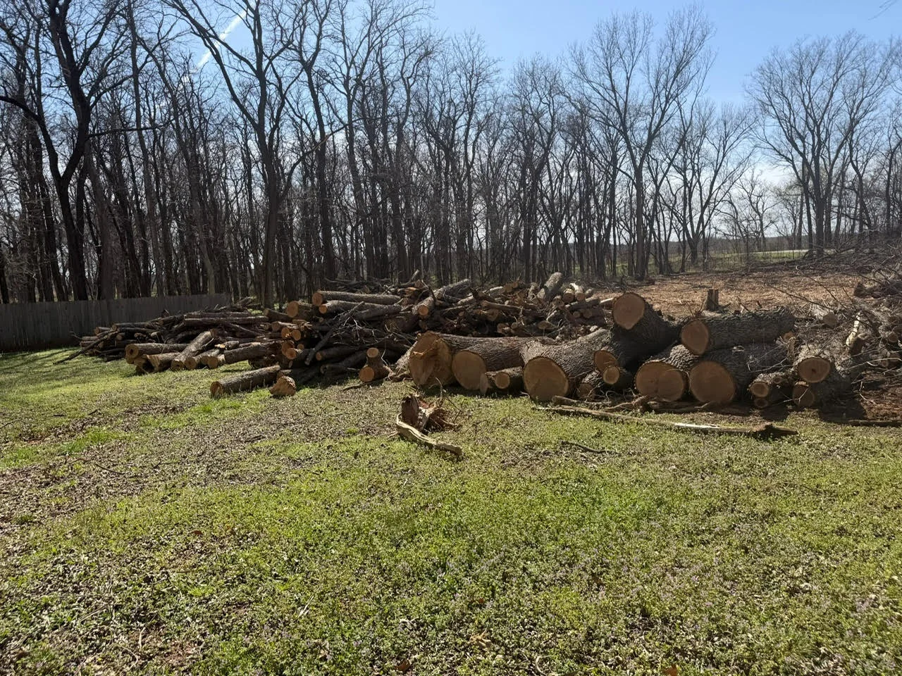 Stacked logs and cleared timber from land clearing project with bare trees in background