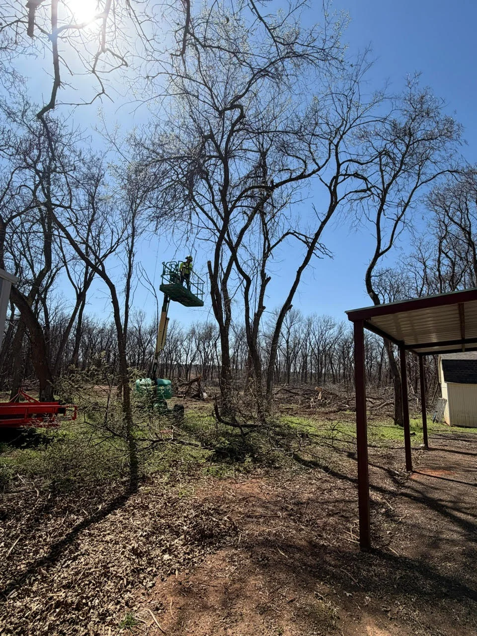 Bucket lift removing tree branches with cleared woodland site and metal shelter structure