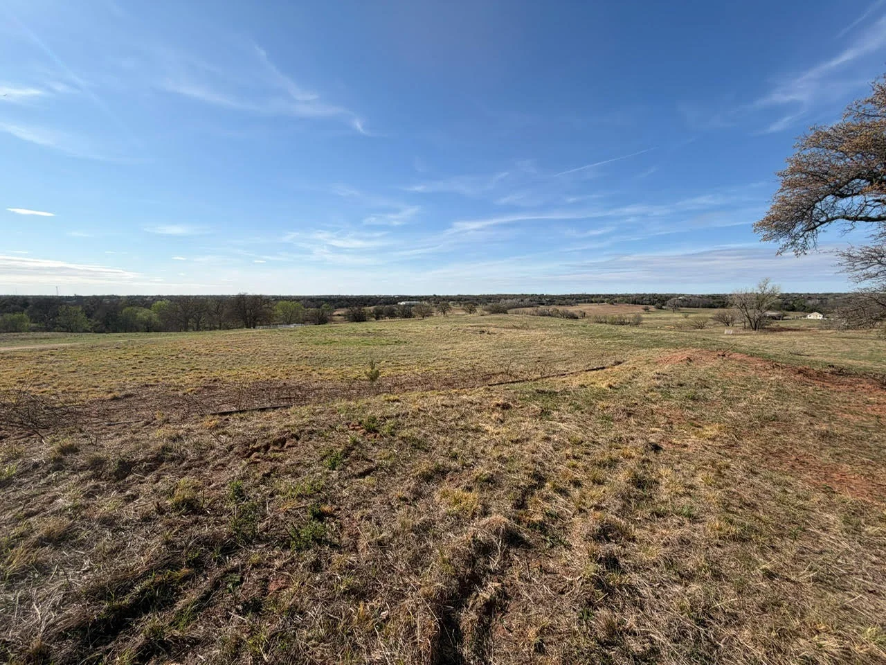 Cleared acreage with graded soil and sparse vegetation under blue sky