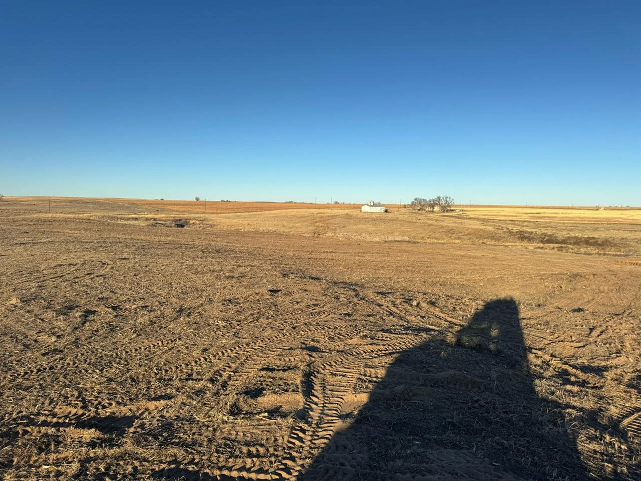 Graded agricultural land with visible excavation patterns and equipment tracks under clear sky