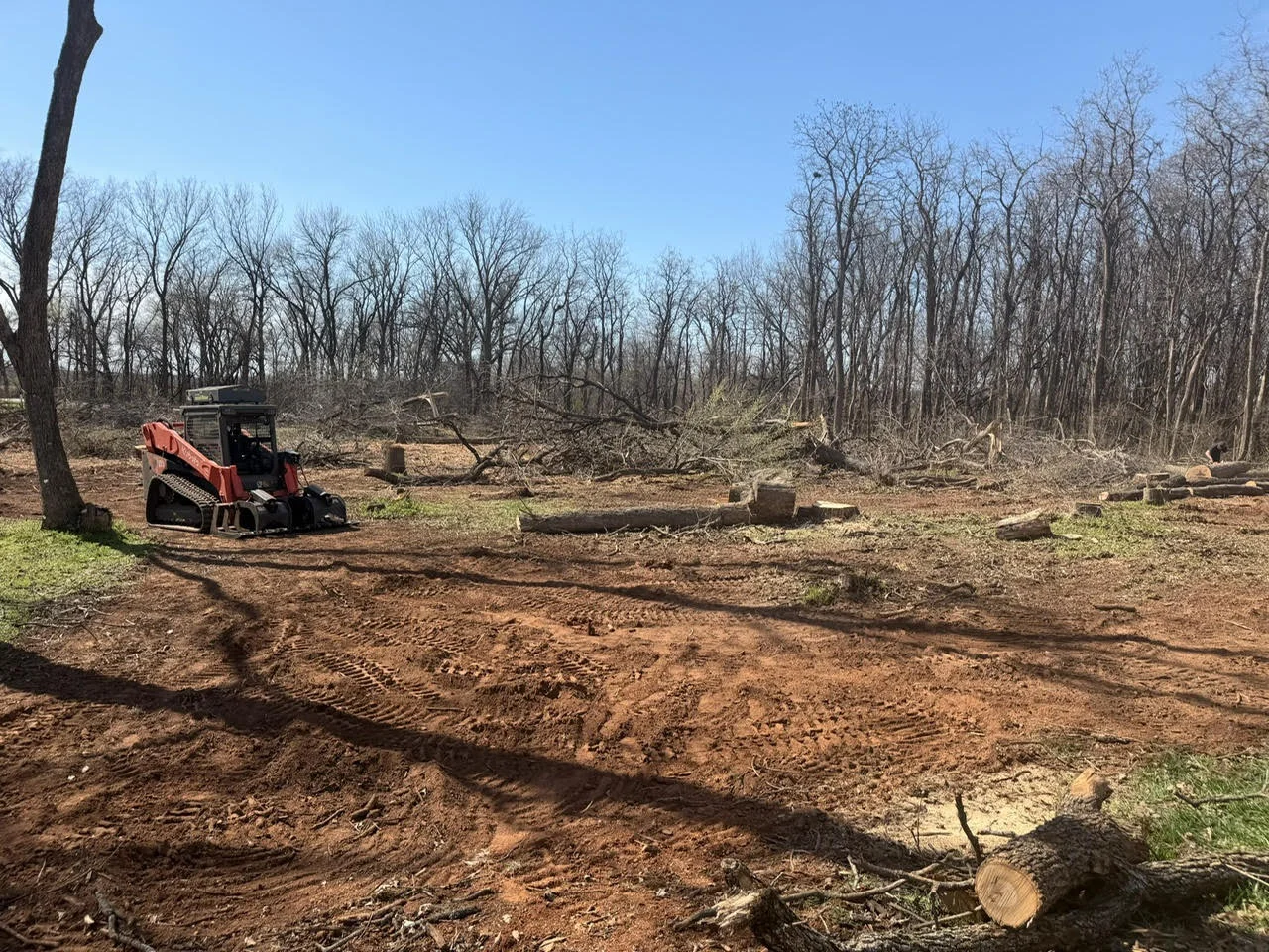 Track loader clearing wooded land with felled trees and prepared soil in Lawton