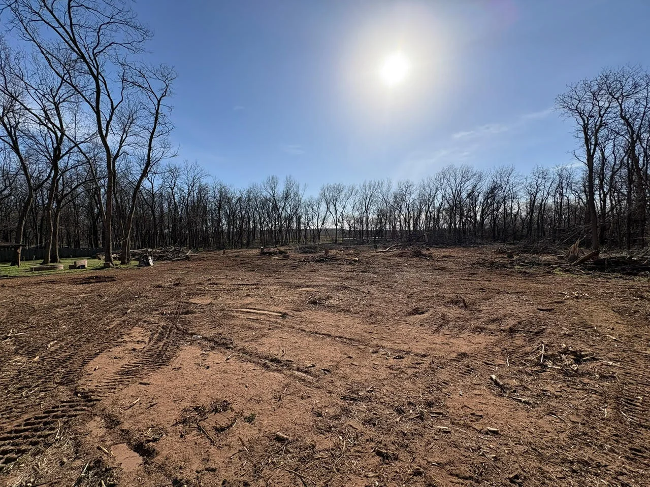 Cleared wooded lot with bare soil and standing trees at perimeter