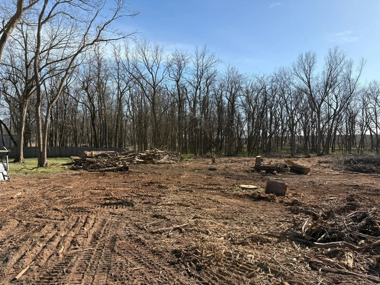 Cleared wooded lot with staged timber logs and graded earth, mature trees in background