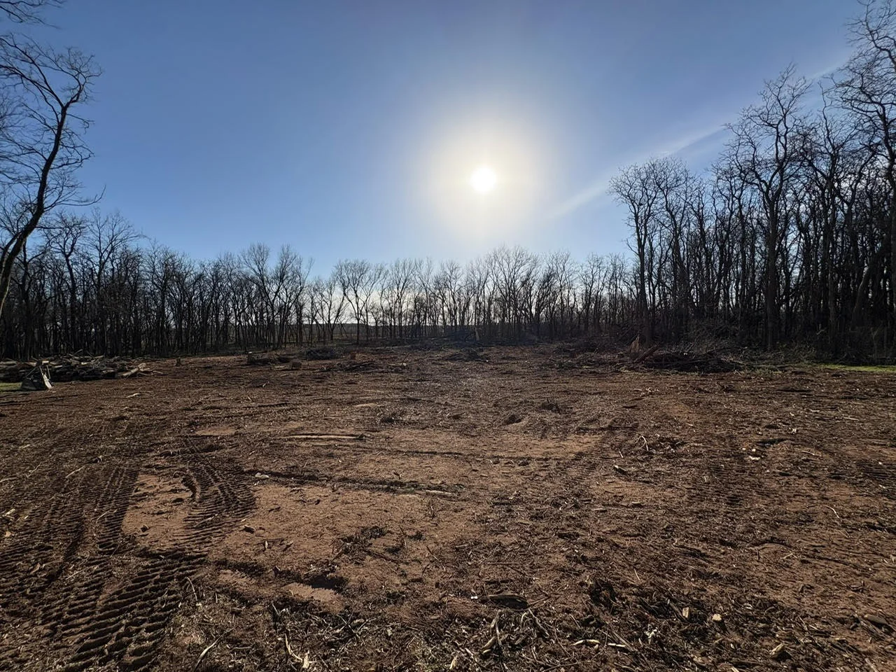 Cleared wooded lot with bare soil and tree stumps, surrounded by standing timber