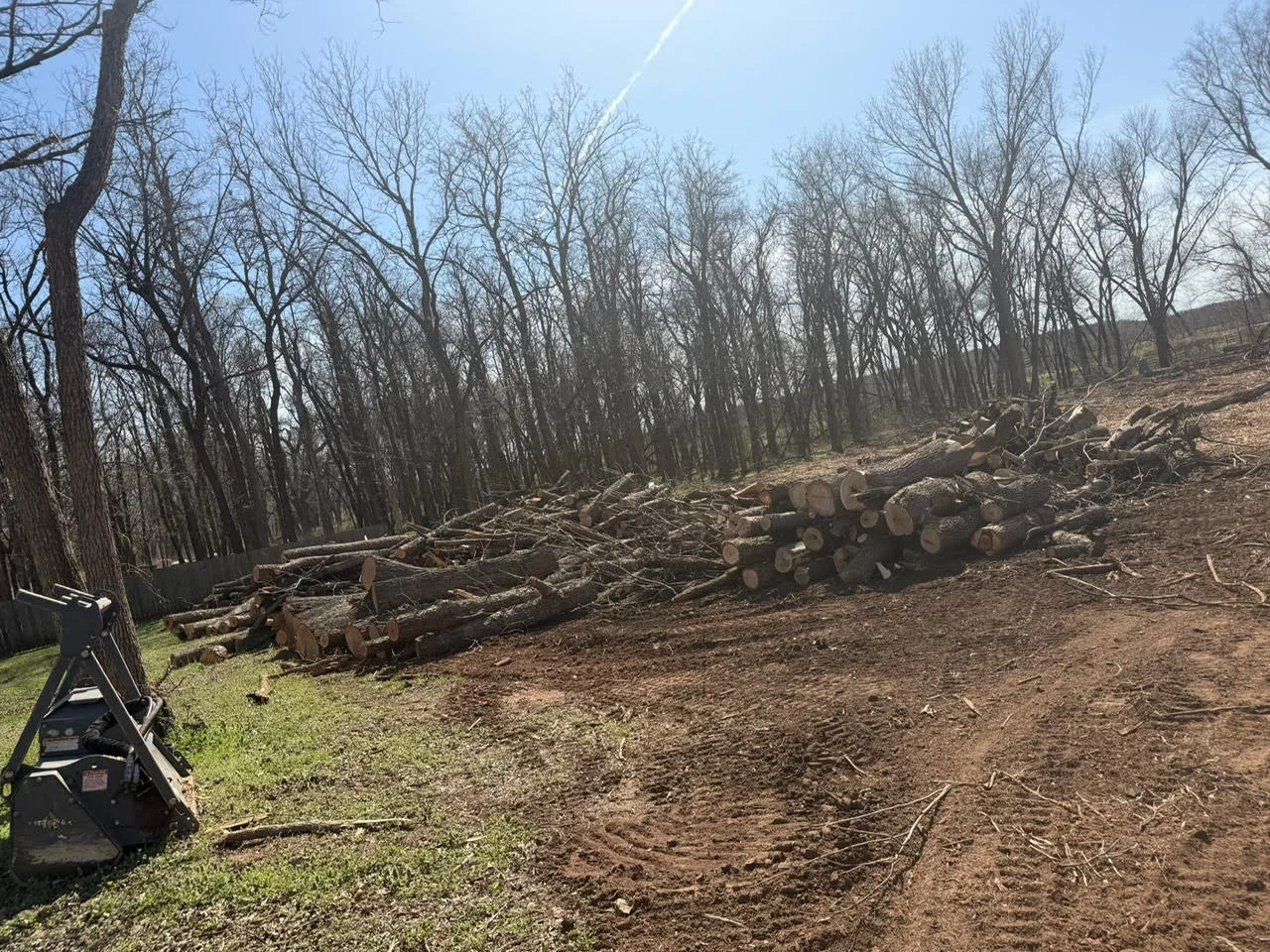 Cleared wooded lot with stacked logs and graded earth, bare trees in background