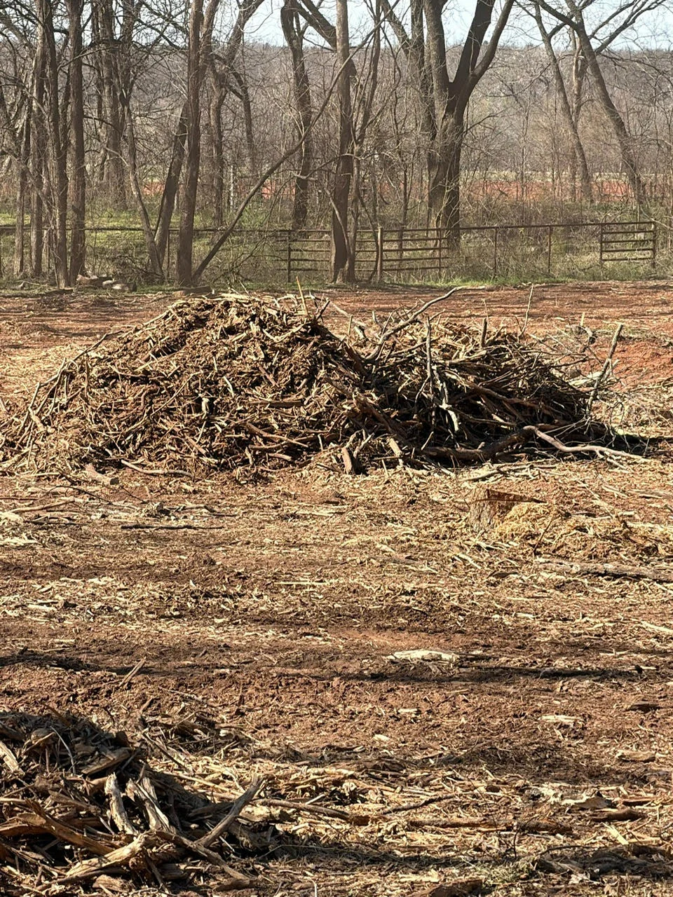 Large pile of cleared brush and tree branches staged for removal on rural property