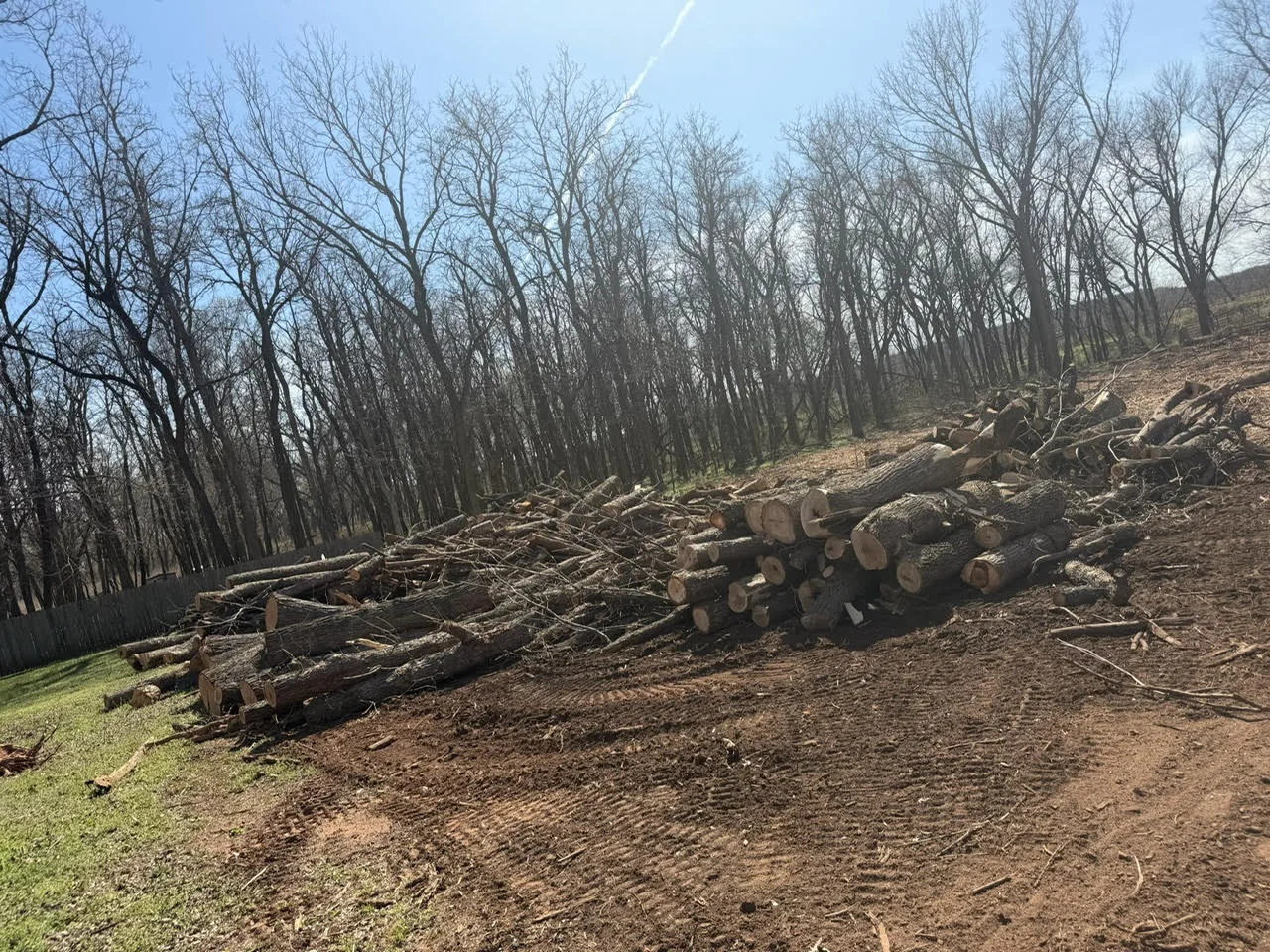 Cleared woodland with stacked logs and bare trees on hillside in Lawton, OK
