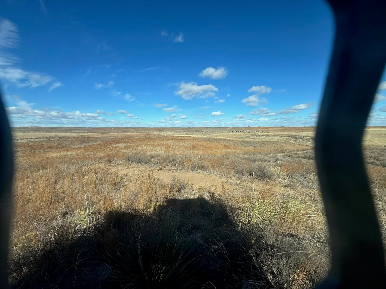 Aerial view of cleared prairie land with native vegetation removed, showing prepared site