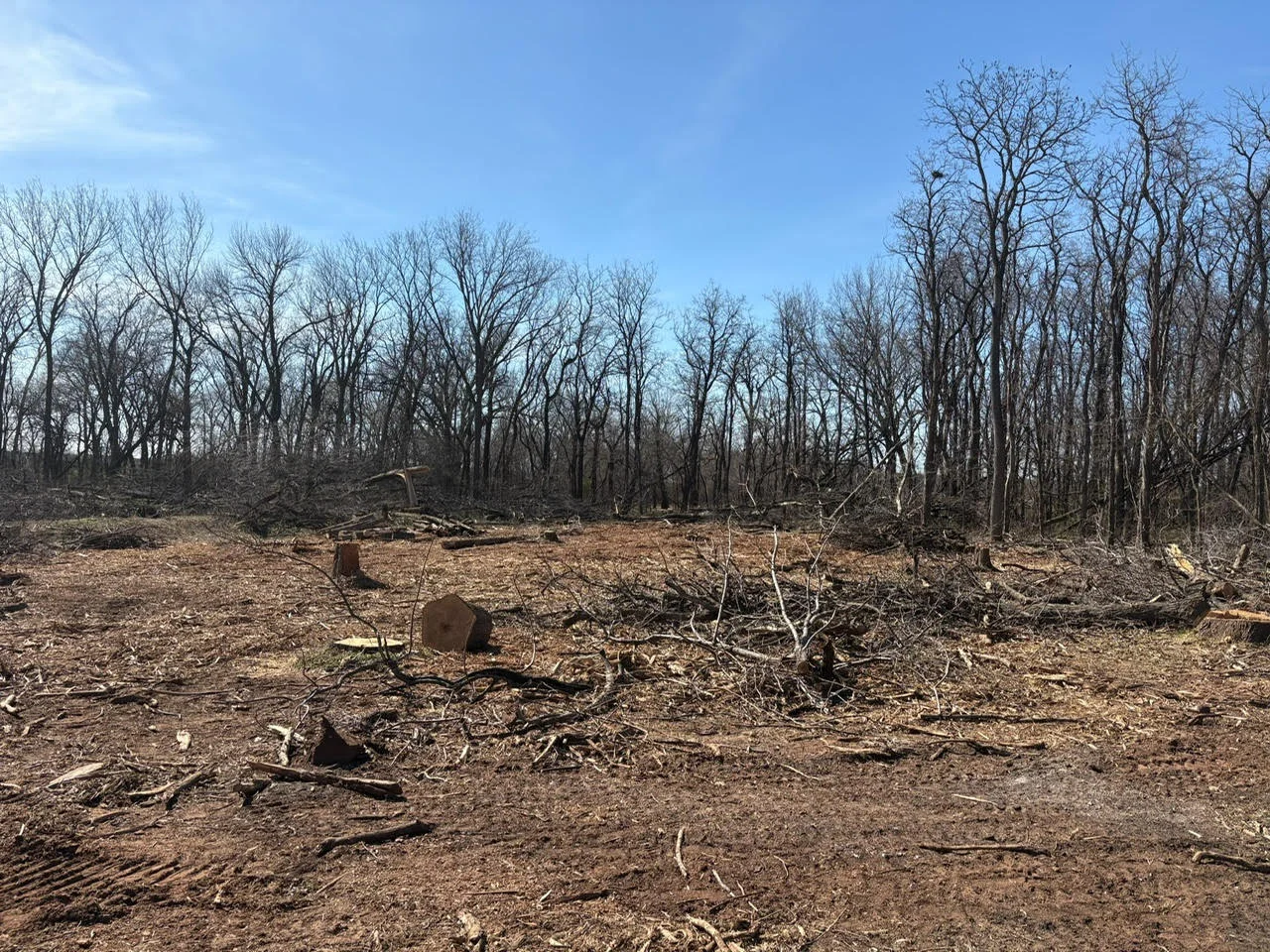 Cleared wooded lot with tree stumps and bare ground in Lawton, OK