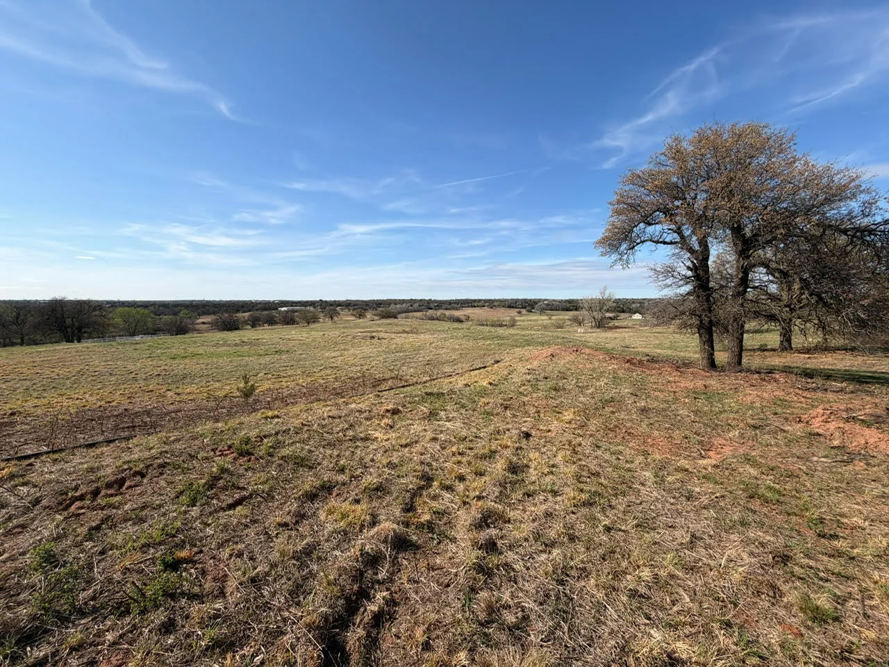 Cleared rural land with mature oak trees and prepared soil in Lawton, Oklahoma