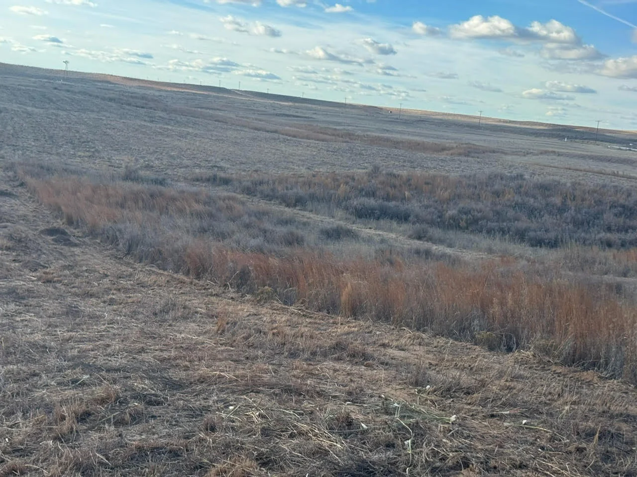 Cleared hillside with brush removal and valley vegetation in Lawton, OK