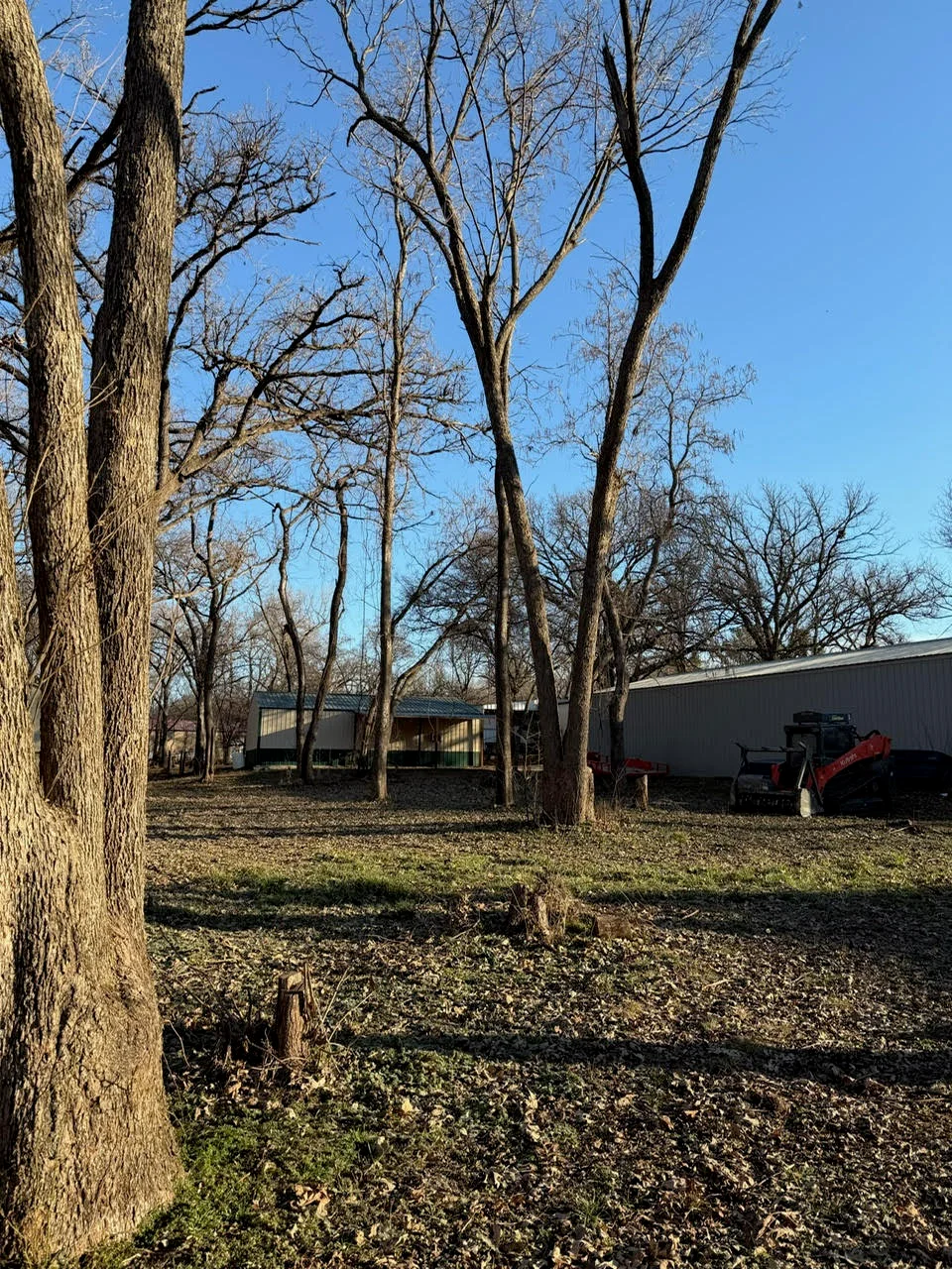 Cleared property with mature trees and metal storage buildings, equipment visible on right