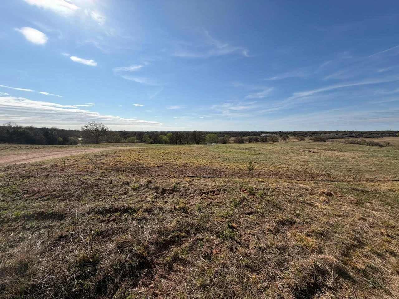 Cleared acreage with graded soil and perimeter trees under clear blue sky