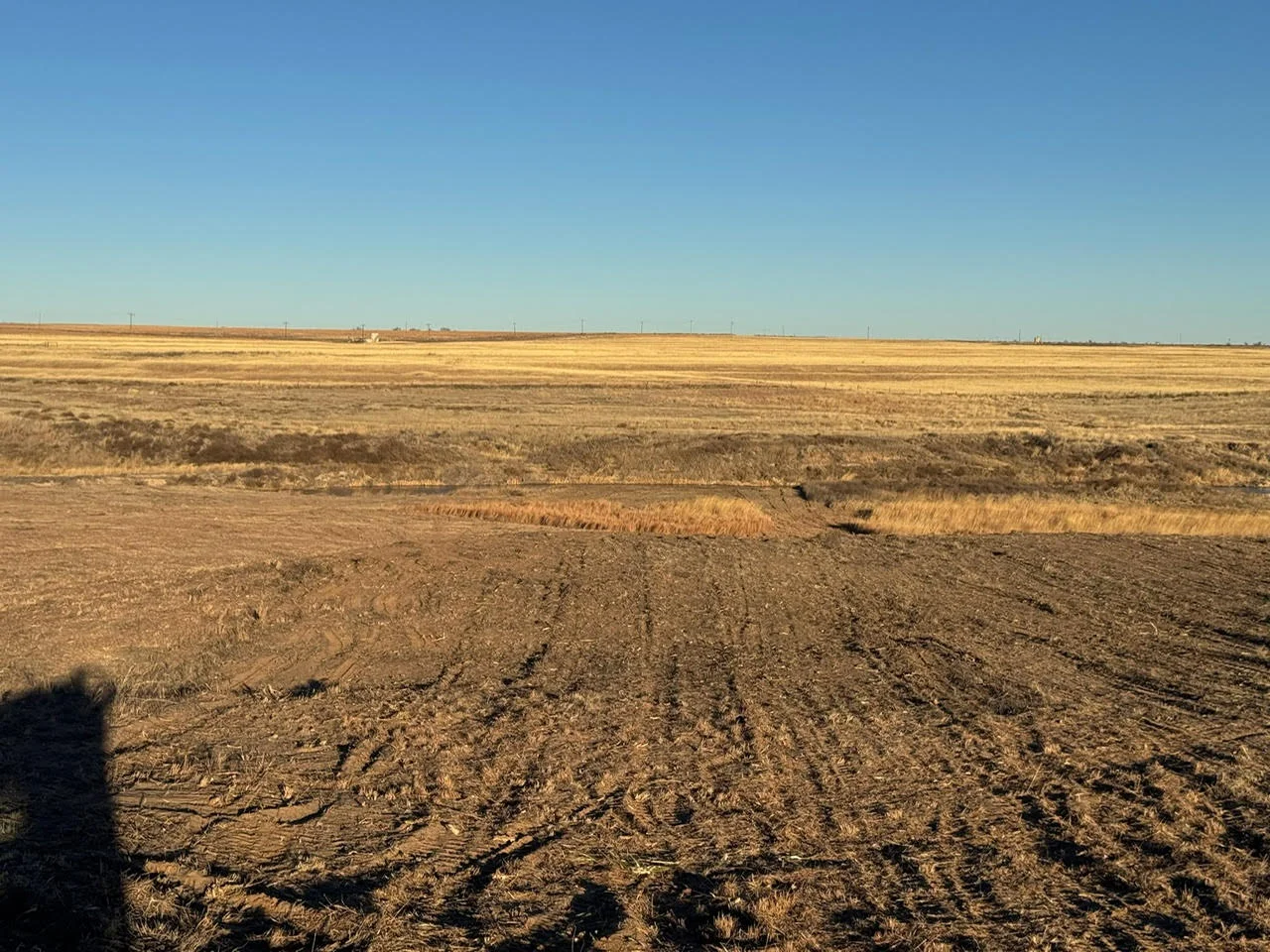 Cleared and graded land with brown soil, sparse vegetation, and flat horizon under clear sky