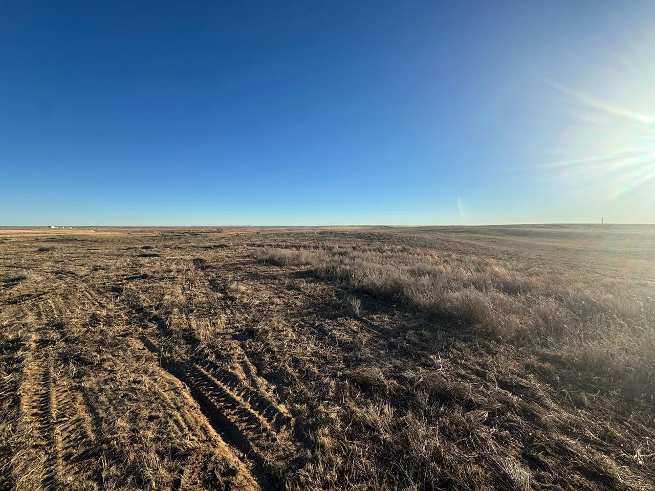 Aerial view of cleared and excavated land with visible grading patterns and brush removal