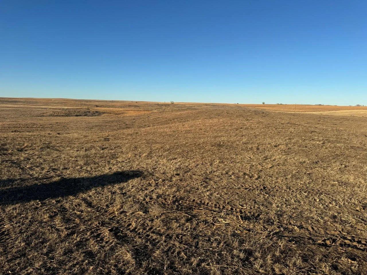 Cleared and graded agricultural land with level soil preparation under clear blue sky