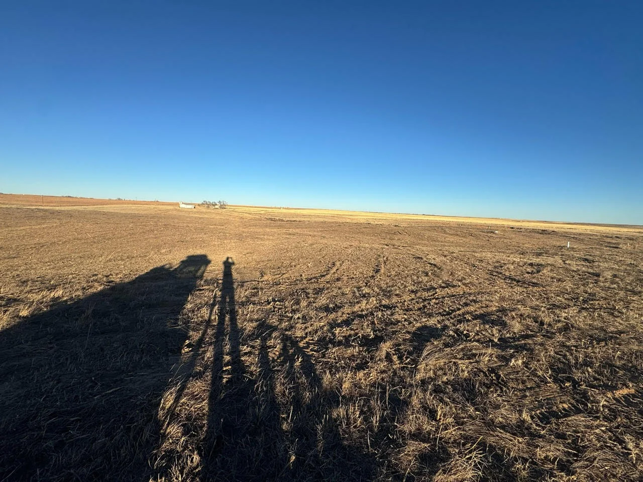 Cleared excavation site with graded earth and removed vegetation across open farmland