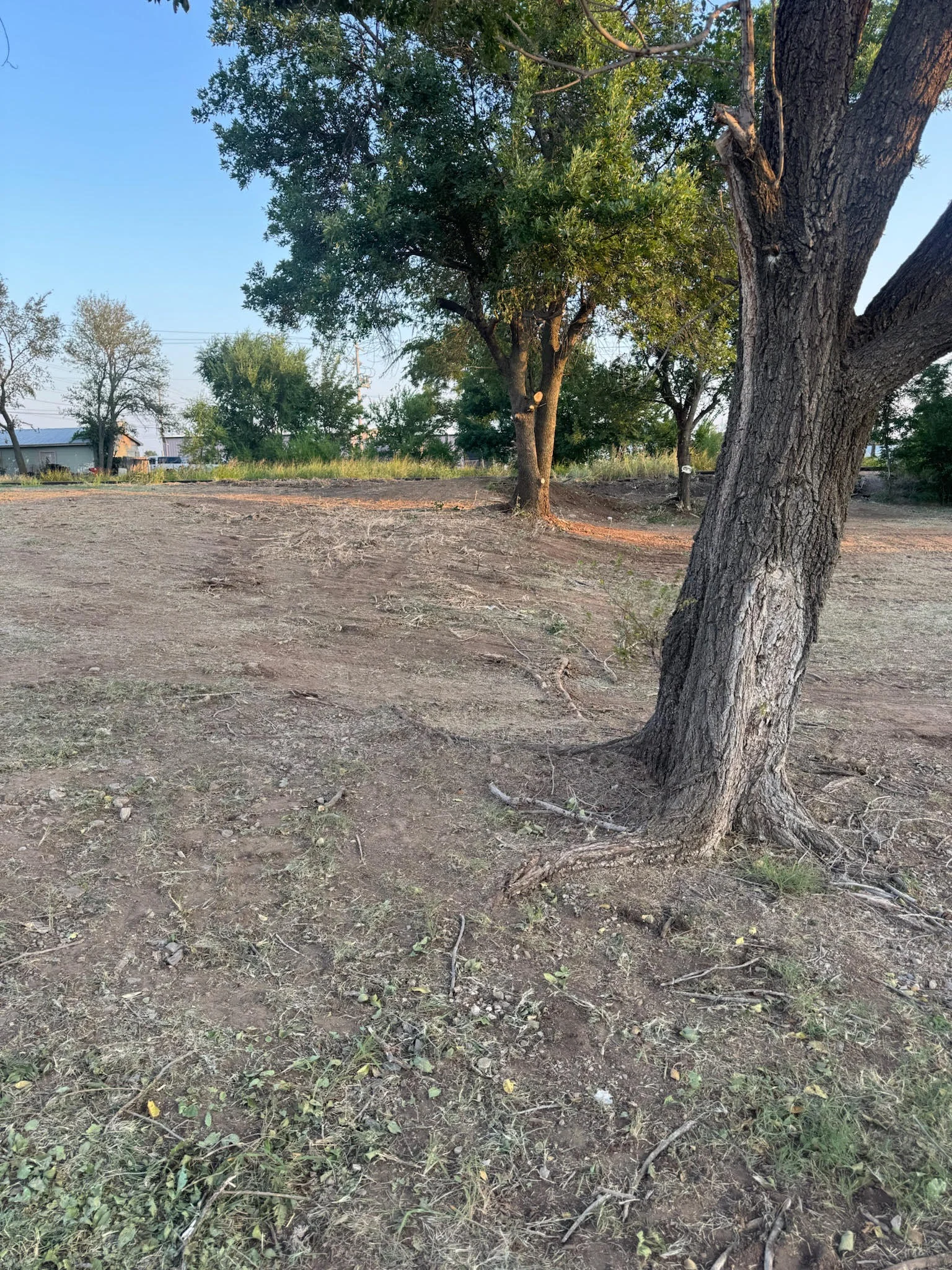 Cleared lot with mature oak trees and graded soil in Lawton, OK